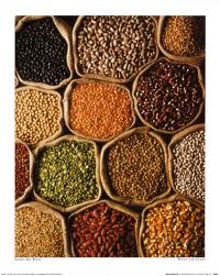 variety of pulses
