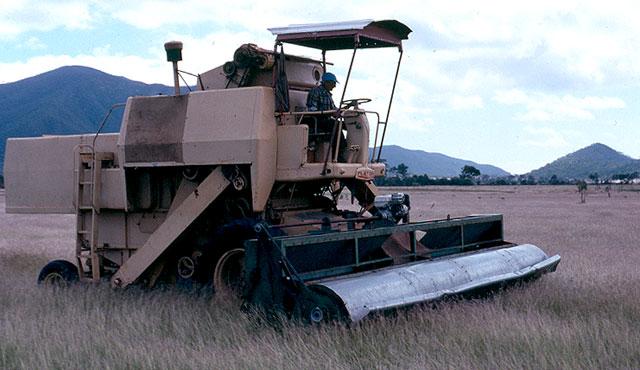 Indian-Bluegrass-tractor