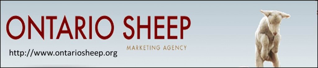 Ontario Sheep Marketing