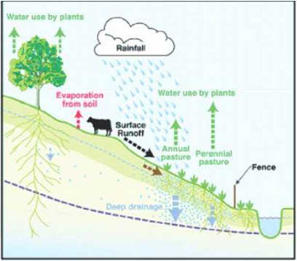 figure 1 the water cycle