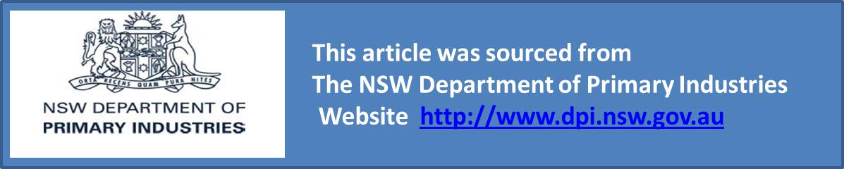 nsw dpi BANNER