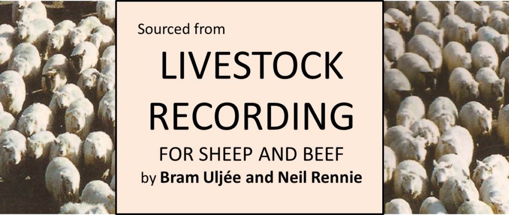 livestock recording for sheep and beef book banner