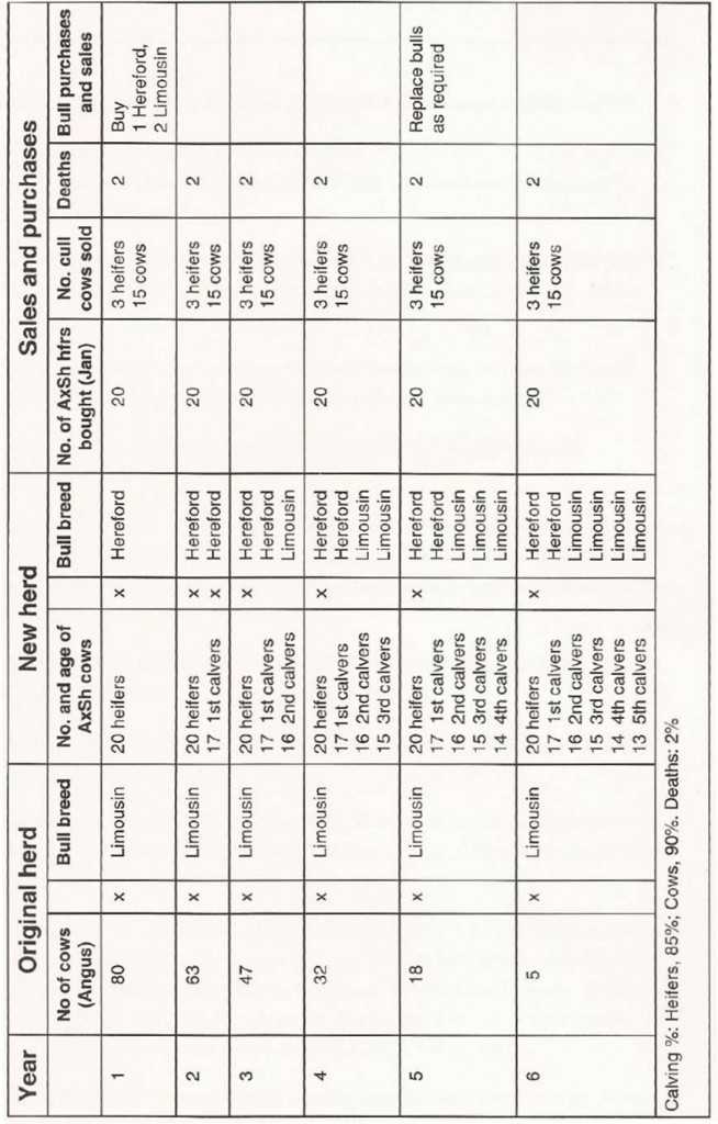 long term crossbreeding program