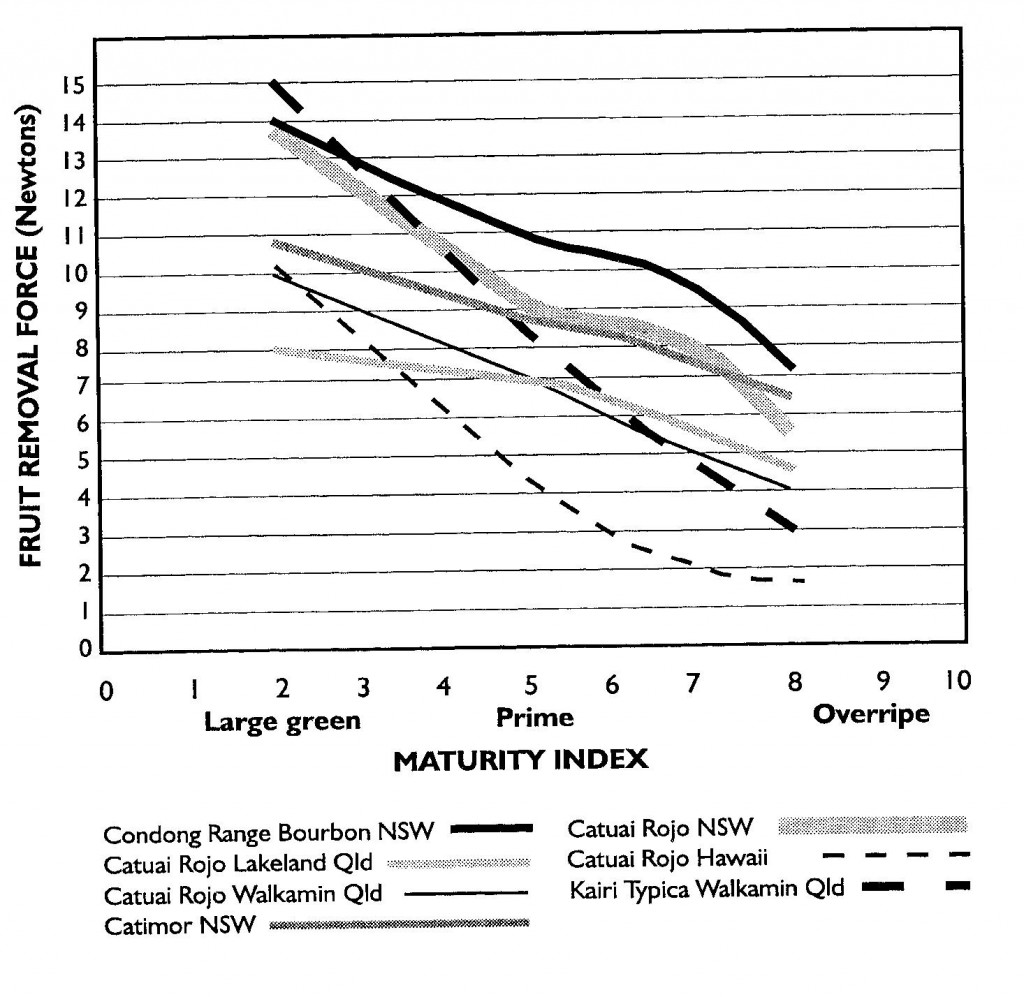 Coffee Maturity Index