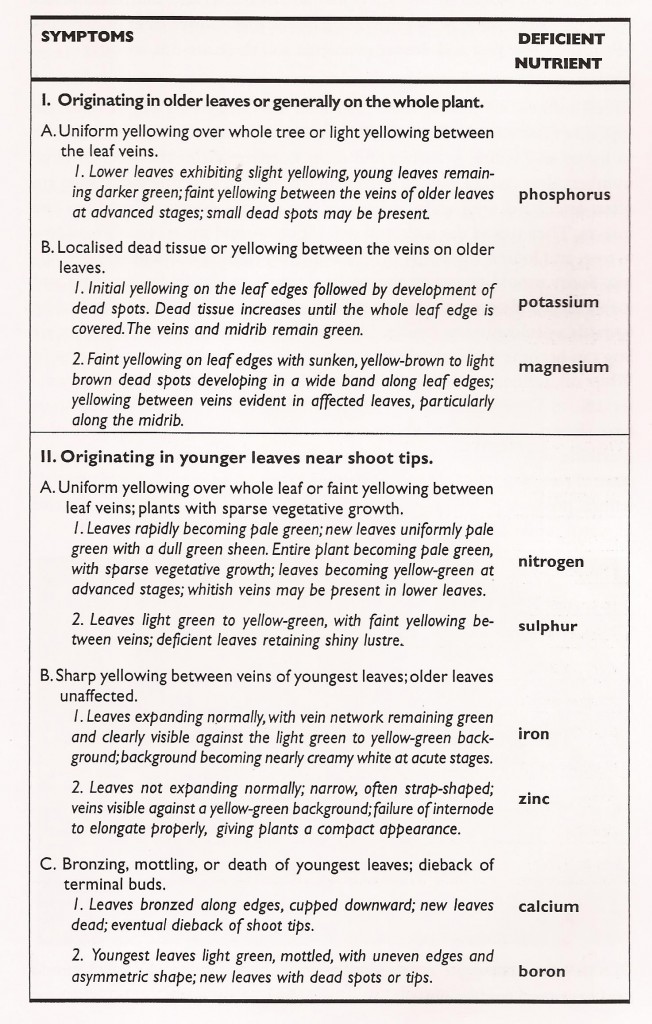 Nutrient deficiency symptoms (adapted from Nagao et al., 1986)
