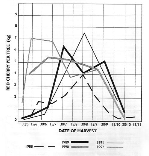 Variation in maturity pattern of cultivar K7 over 5yrs in north