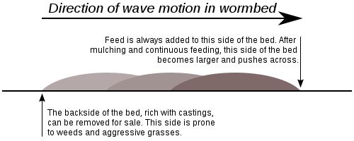 Wormbed