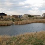 Principles of Drainage and Soil Water