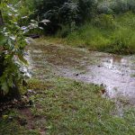 An Introduction to Soil Water