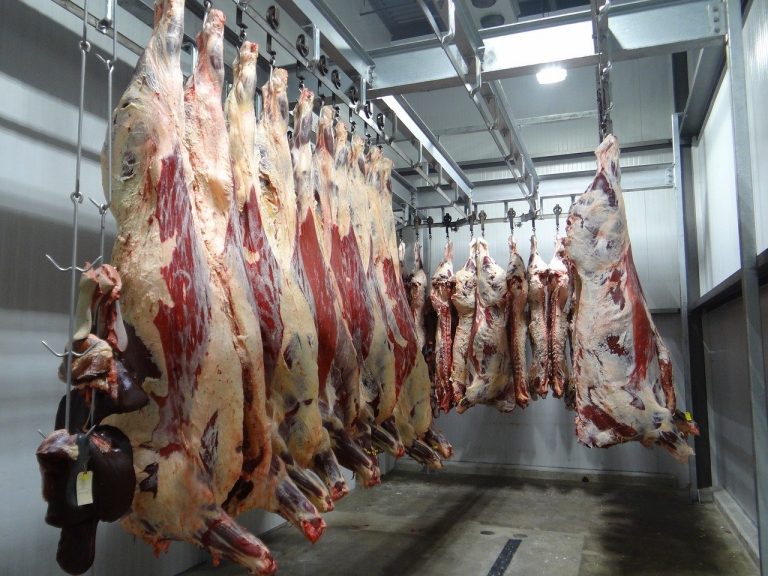 How Much Does It Cost to Butcher a Cow? Butchered cow meat hanging for sale